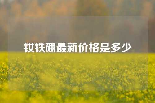 釹鐵硼最新價格是多少