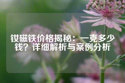 釹磁鐵價(jià)格揭秘：一克多少錢(qián)？詳細(xì)解析與案例分析