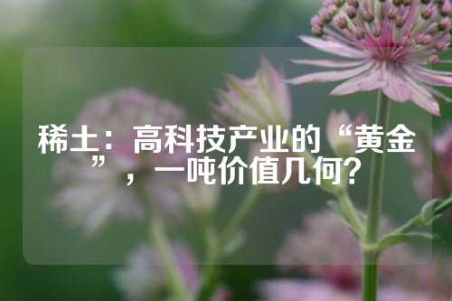 稀土：高科技產(chǎn)業(yè)的“黃金”，一噸價(jià)值幾何？