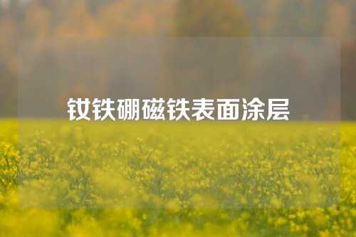 釹鐵硼磁鐵表面涂層