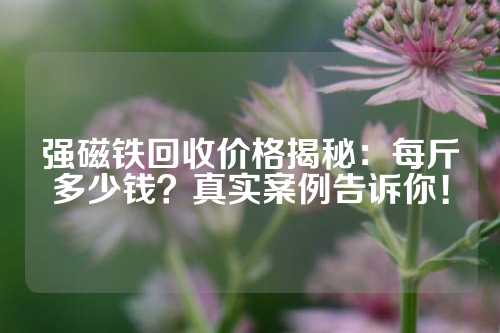 強(qiáng)磁鐵回收價(jià)格揭秘：每斤多少錢？真實(shí)案例告訴你！