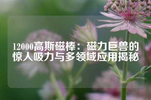 12000高斯磁棒：磁力巨獸的驚人吸力與多領域應用揭秘