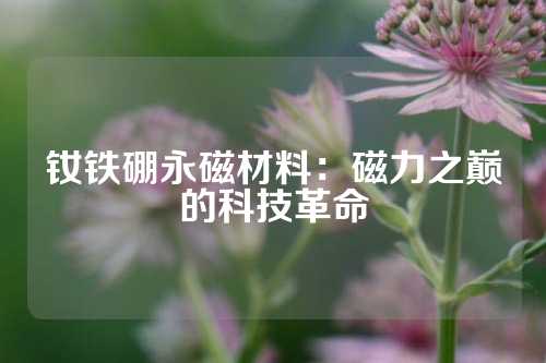 釹鐵硼永磁材料：磁力之巔的科技革命