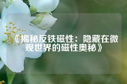 《揭秘反鐵磁性：隱藏在微觀世界的磁性奧秘》