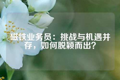 磁鐵業務員：挑戰與機遇并存，如何脫穎而出？