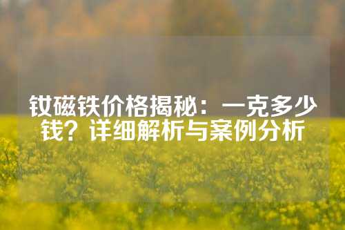 釹磁鐵價(jià)格揭秘：一克多少錢？詳細(xì)解析與案例分析