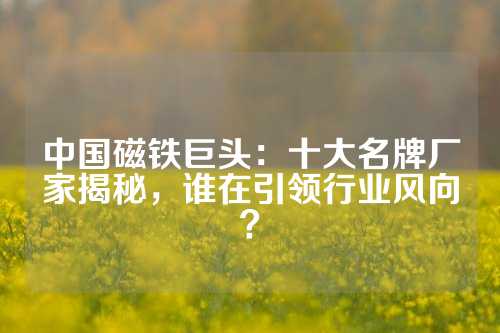 中國磁鐵巨頭：十大名牌廠家揭秘，誰在引領行業風向？