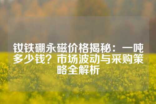 釹鐵硼永磁價格揭秘：一噸多少錢？市場波動與采購策略全解析