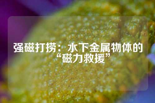 強磁打撈：水下金屬物體的“磁力救援”