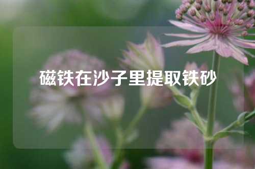 磁鐵在沙子里提取鐵砂