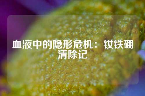 血液中的隱形危機：釹鐵硼清除記