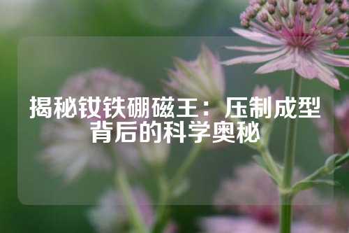 揭秘釹鐵硼磁王：壓制成型背后的科學奧秘