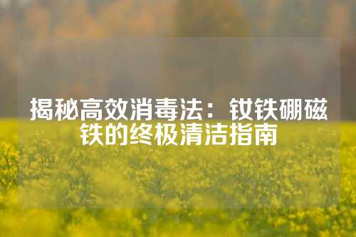 揭秘高效消毒法：釹鐵硼磁鐵的終極清潔指南