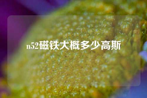 n52磁鐵大概多少高斯