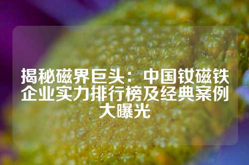 揭秘磁界巨頭：中國釹磁鐵企業實力排行榜及經典案例大曝光