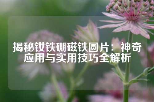 揭秘釹鐵硼磁鐵圓片：神奇應用與實用技巧全解析