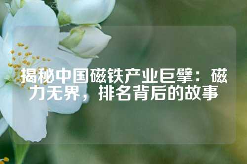 揭秘中國磁鐵產業巨擘：磁力無界，排名背后的故事