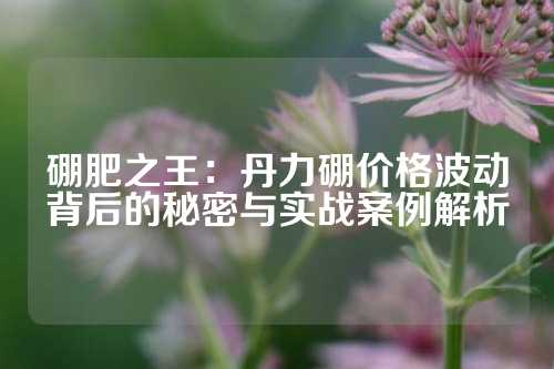 硼肥之王：丹力硼價格波動背后的秘密與實戰案例解析