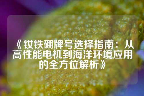 《釹鐵硼牌號選擇指南：從高性能電機到海洋環境應用的全方位解析》