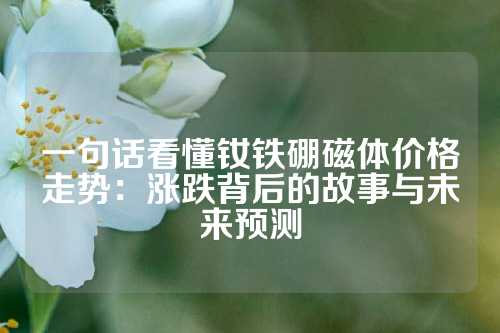 一句話看懂釹鐵硼磁體價格走勢：漲跌背后的故事與未來預(yù)測