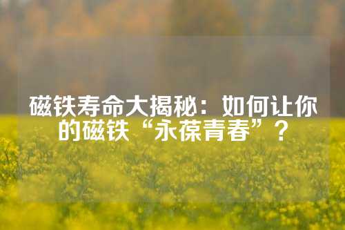 磁鐵壽命大揭秘：如何讓你的磁鐵“永葆青春”？