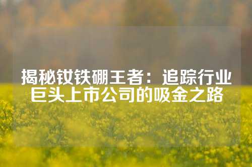 揭秘釹鐵硼王者：追蹤行業(yè)巨頭上市公司的吸金之路