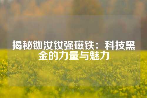 揭秘銣汝釹強磁鐵：科技黑金的力量與魅力