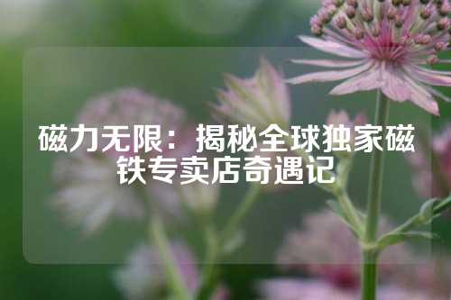 磁力無限：揭秘全球獨家磁鐵專賣店奇遇記