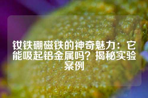 釹鐵硼磁鐵的神奇魅力：它能吸起鋁金屬嗎？揭秘實(shí)驗(yàn)案例