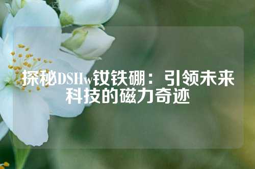 探秘DSHw釹鐵硼：引領未來科技的磁力奇跡