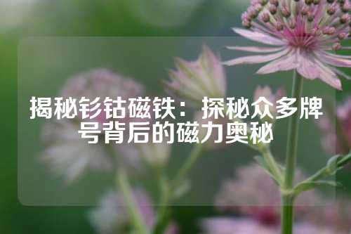 揭秘釤鈷磁鐵：探秘眾多牌號背后的磁力奧秘