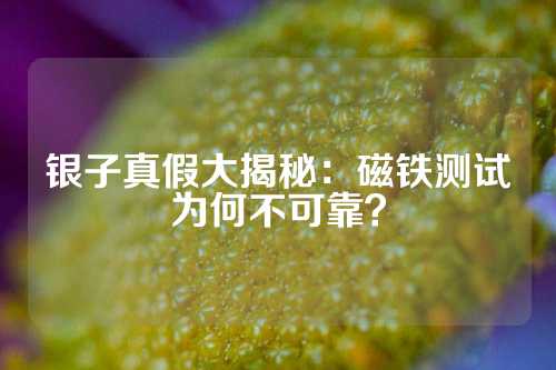 銀子真假大揭秘：磁鐵測(cè)試為何不可靠？