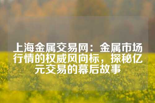 上海金屬交易網：金屬市場行情的權威風向標，探秘億元交易的幕后故事