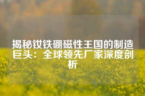 揭秘釹鐵硼磁性王國的制造巨頭：全球領先廠家深度剖析