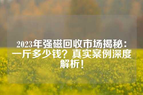 2023年強(qiáng)磁回收市場揭秘：一斤多少錢？真實案例深度解析！