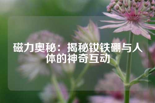 磁力奧秘：揭秘釹鐵硼與人體的神奇互動