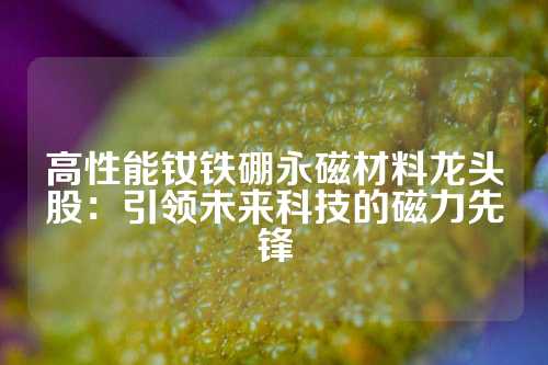 高性能釹鐵硼永磁材料龍頭股：引領未來科技的磁力先鋒