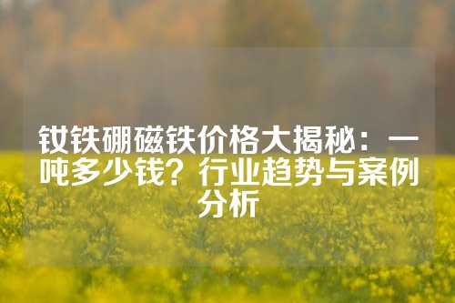 釹鐵硼磁鐵價格大揭秘：一噸多少錢？行業趨勢與案例分析