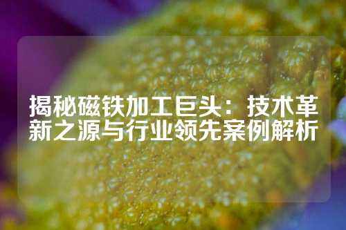 揭秘磁鐵加工巨頭：技術革新之源與行業領先案例解析