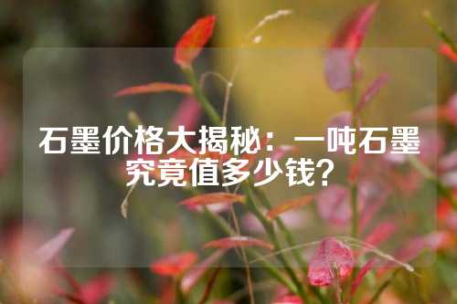 石墨價(jià)格大揭秘：一噸石墨究竟值多少錢？