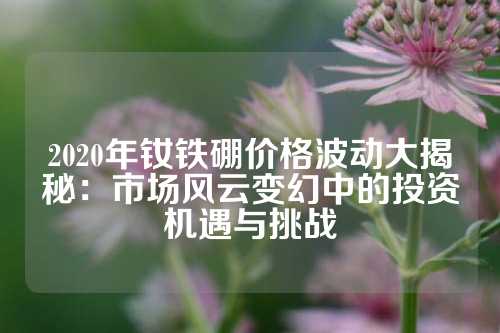 2020年釹鐵硼價格波動大揭秘：市場風云變幻中的投資機遇與挑戰