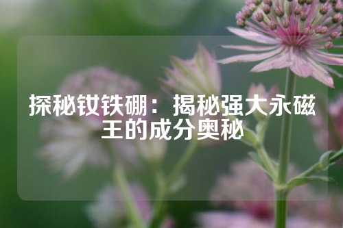 探秘釹鐵硼：揭秘強大永磁王的成分奧秘