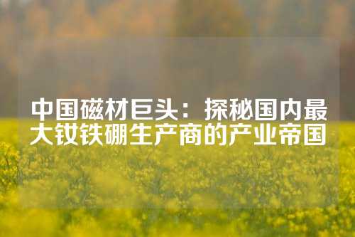 中國磁材巨頭：探秘國內最大釹鐵硼生產商的產業帝國