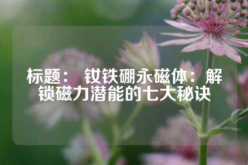 標題： 釹鐵硼永磁體：解鎖磁力潛能的七大秘訣