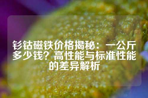 釤鈷磁鐵價格揭秘：一公斤多少錢？高性能與標準性能的差異解析