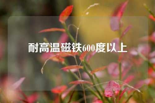 耐高溫磁鐵600度以上