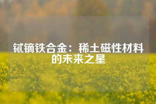 鋱鏑鐵合金：稀土磁性材料的未來之星