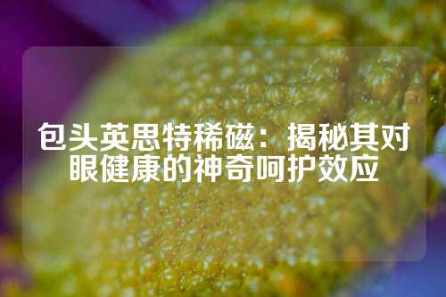 包頭英思特稀磁：揭秘其對眼健康的神奇呵護效應