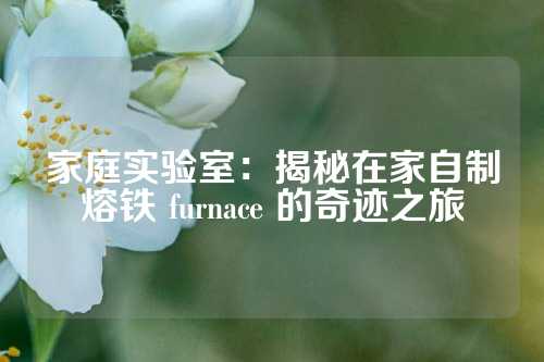 家庭實驗室：揭秘在家自制熔鐵 furnace 的奇跡之旅