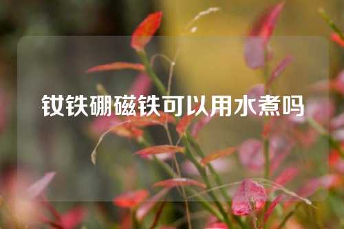 釹鐵硼磁鐵可以用水煮嗎